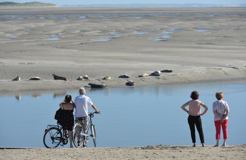 Hamac Chic Vue Mer. Berck Экстерьер фото